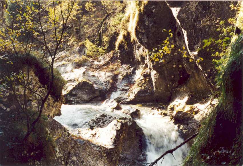 Tscheppesloch.jpg (89936 bytes)